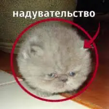 solution.webp